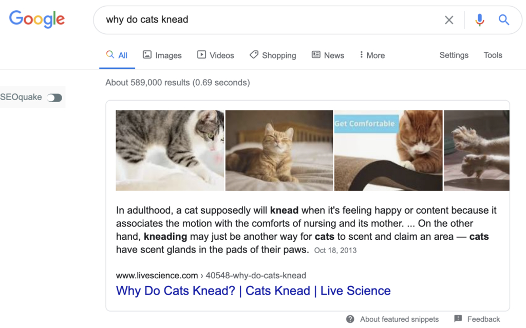 why do cats knead featured snippet